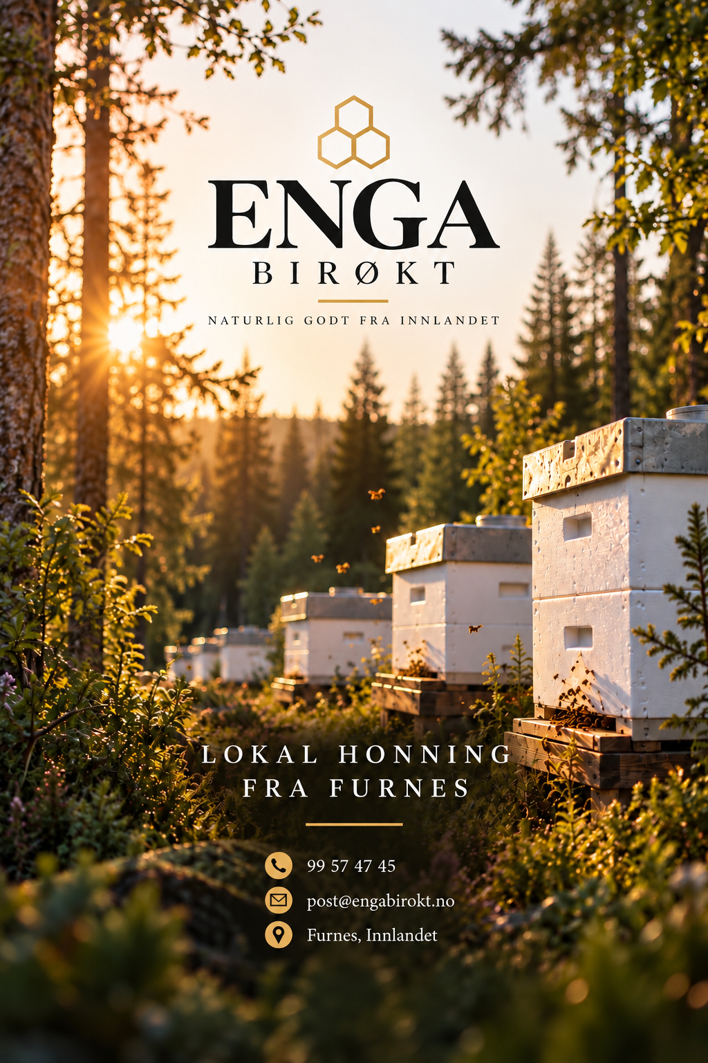 Enga Birøkt